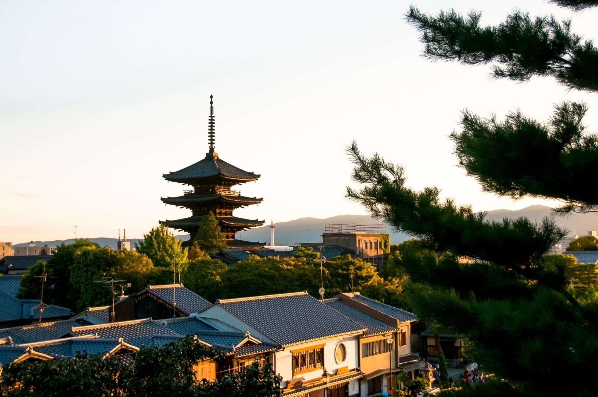 Stay Sakura Kyoto Zen المظهر الخارجي الصورة