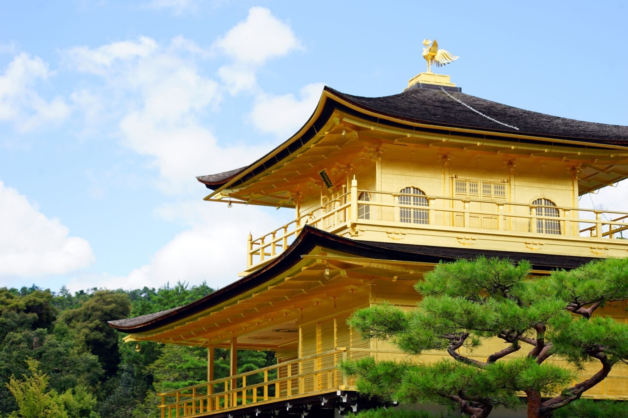 Stay Sakura Kyoto Zen المظهر الخارجي الصورة